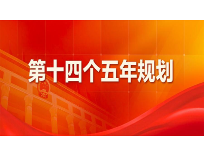 千亿体育(中国)官方网站为“十四五”规划建言献策 